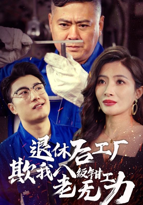退休后工厂欺我八级钳工老无力 第10集