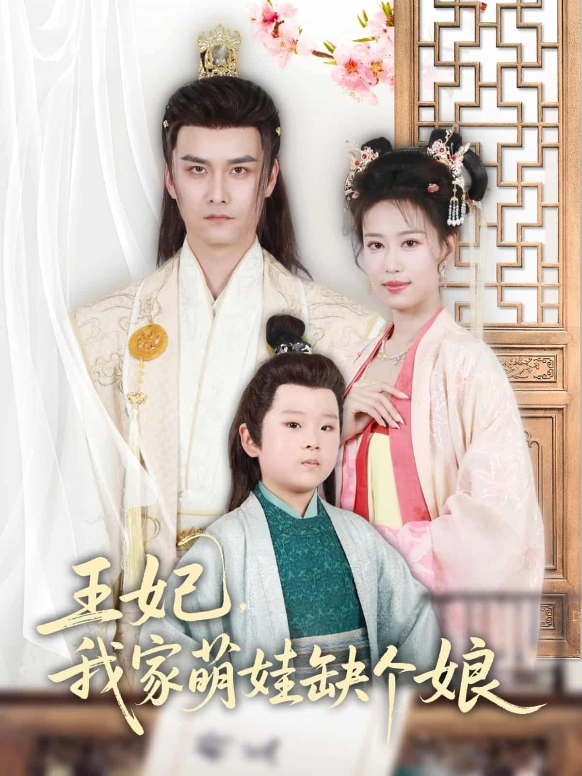 王妃，我家萌娃缺个娘 第04集