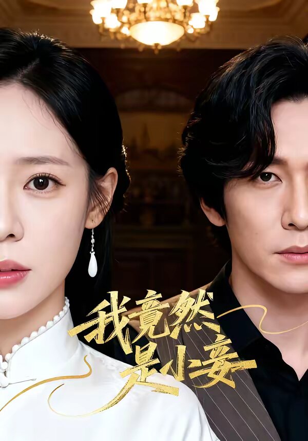 我竟然是小妾 第03集