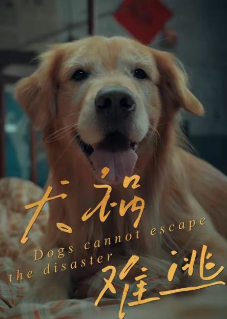 犬祸难逃(全集)