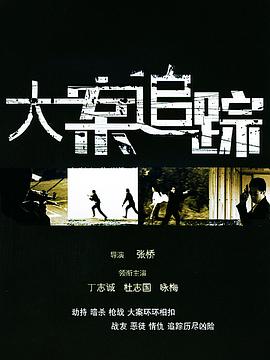 大案追踪(全集)