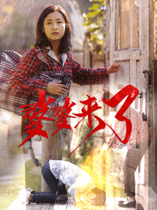 婆婆来了（短剧版）(全集)