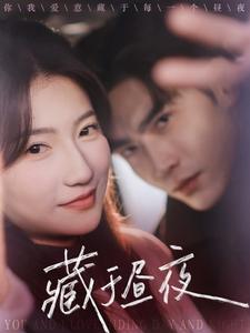 藏于昼夜(全集)