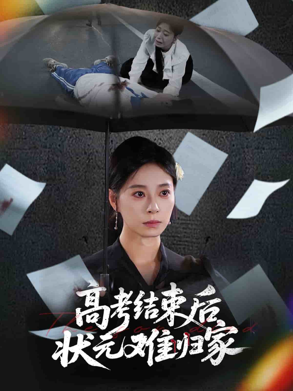 高考结束后状元难归家(全集)